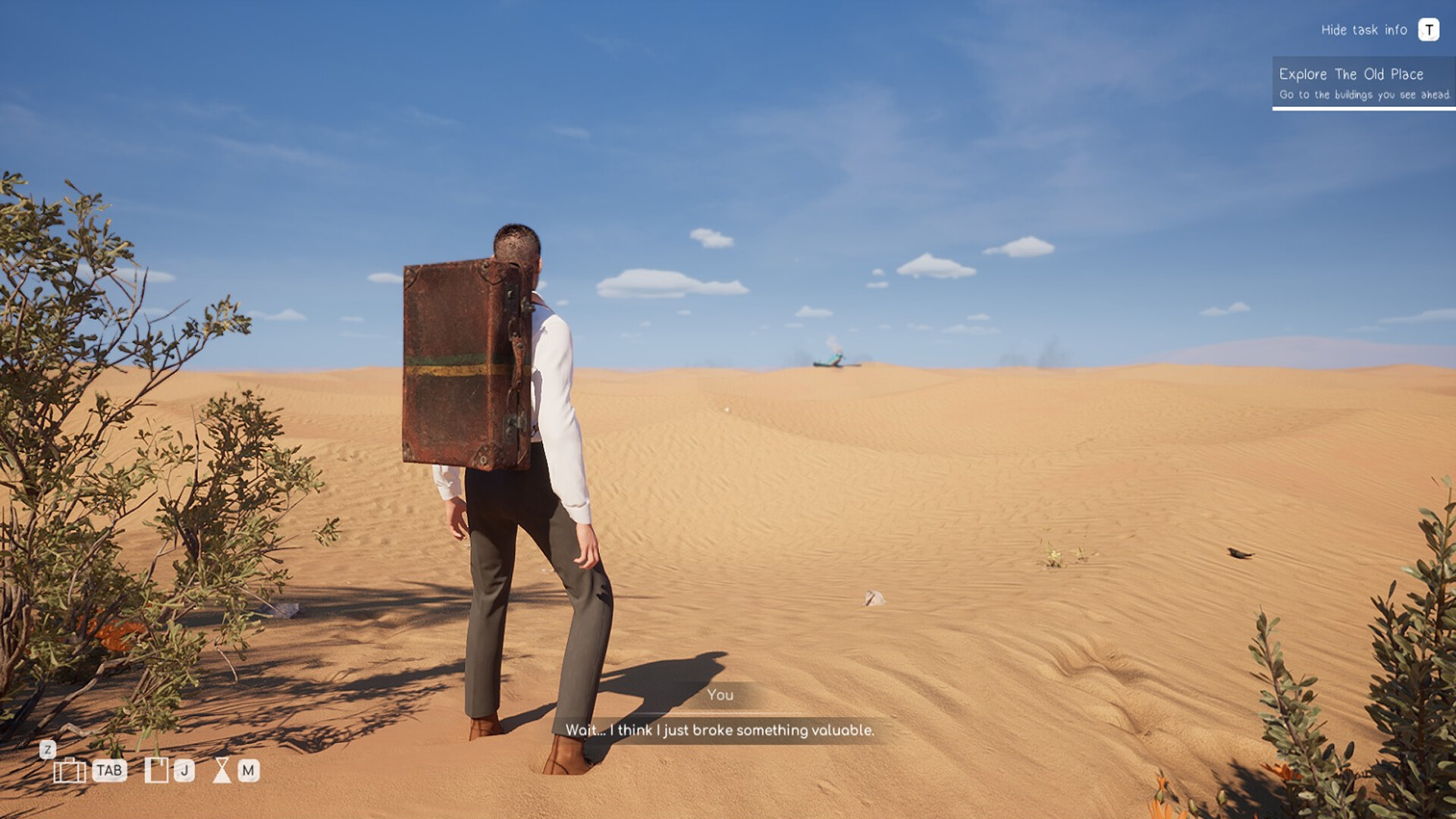 Environmental Interaction